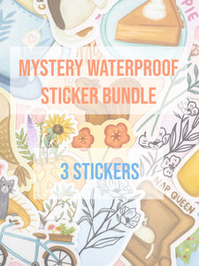Mystery Waterproof Sticker Pack